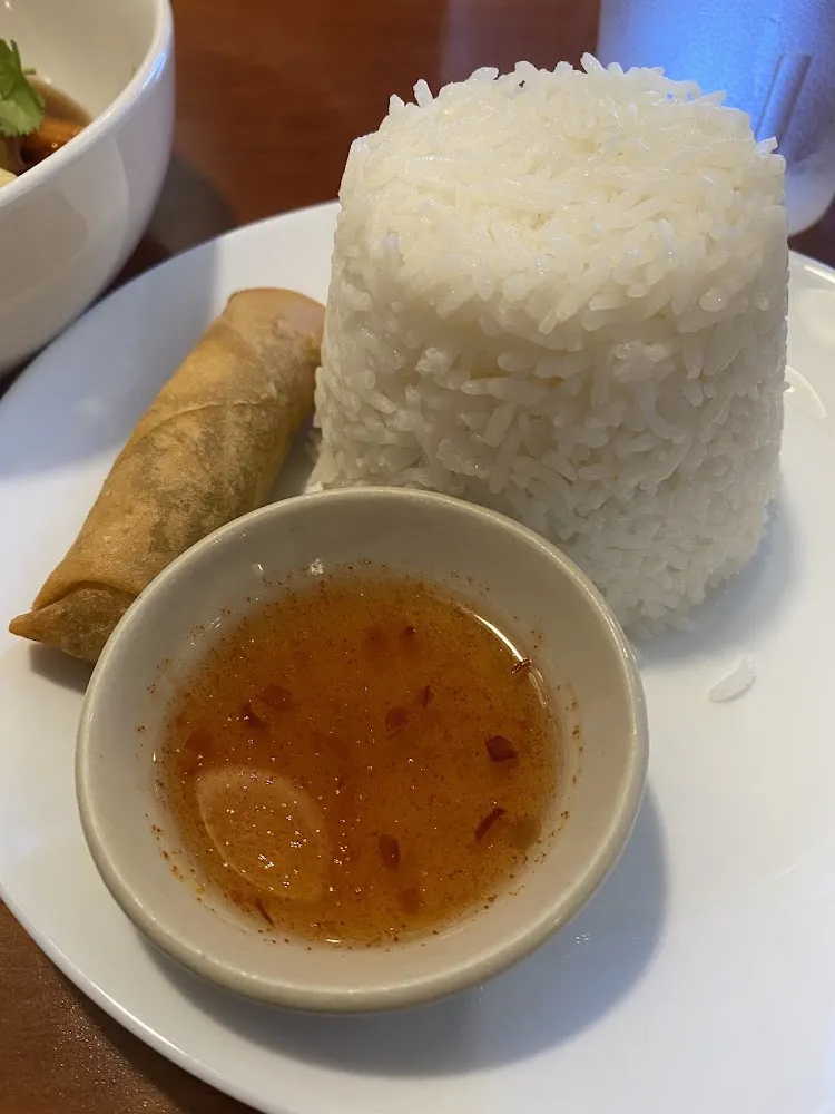 Rice and Spring Roll
